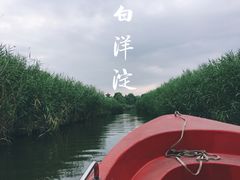 -白洋淀景区