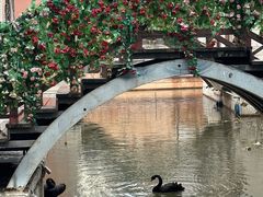 -华谊兄弟（长沙）电影小镇