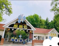 -酷酷兔少儿拓展天地