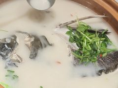 -全乐鱼馆·淳牌有机鱼直营店
