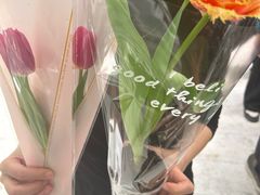 -上海鲜花港