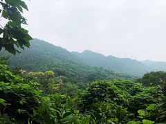 -重庆歌乐山烈士陵园