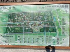 -黄海国家森林公园