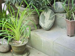 外星人-亦缘居私家别院