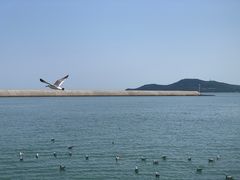 -刘公岛景区