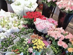 -沪花拾者(好再来花卉鲜花店)