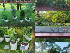 -云溪植物园