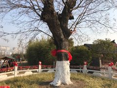 -董永七仙女文化园