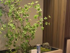 -聆桂烤鸭·金奖烤鸭(静联广场店)