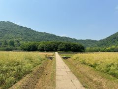 -八卦田遗址公园