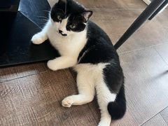 -路易时光(蕴川路店)