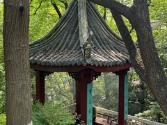 -北极阁公园
