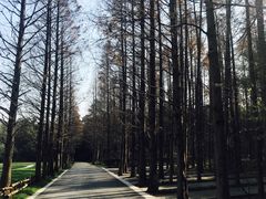 -同里国家湿地公园