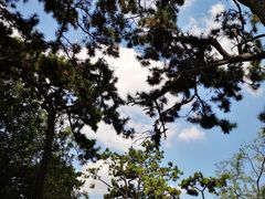 -青岛中山公园-索道售票处