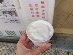 -洪馨椰子