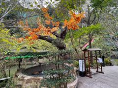 -龙门水都景区