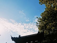 -红梅公园