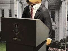 -济州岛泰迪熊博物馆