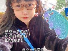 -阿捡忭京炸鸡(韭菜园总店)