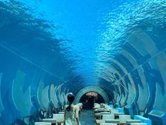 -涛·海底餐厅·美人鱼·自助餐·海底隧道(三亚海棠湾洲际度假酒店)