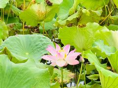 -千龙湖生态旅游度假区