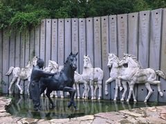 -白马涧龙池景区