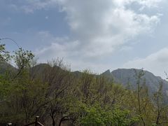 -大岭沟猕猴桃谷风景区