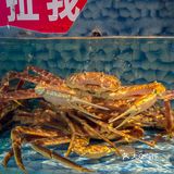 🎉这么大一只螃蟹才 299 元，快冲❗❗
