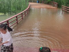 -绿堤公园