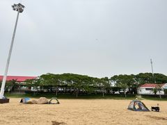 -碧海金沙