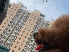 -沐沐家宠物(成寿寺店)