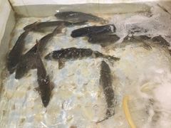 -山城家常菜铁锅炖鱼