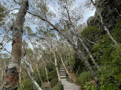 -白草畔自然风景区