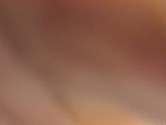 -金刚山烧烤(红旗大街店)