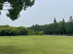 -上海滨江森林公园
