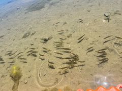 -青海湖二郎剑景区