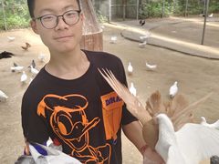 -呀路古热带植物园