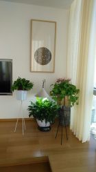 -松和日式美容整骨