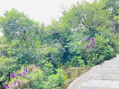 -阳台山森林公园
