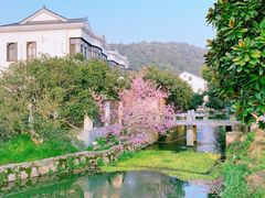 -树山生态村