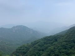 -大岭沟猕猴桃谷风景区