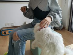 -猫在这儿猫咪咖啡馆·撸猫馆