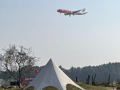 -空港花田景区