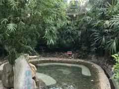 -天赐温泉