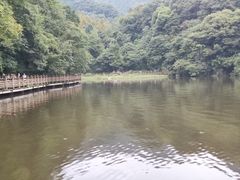 -青城山