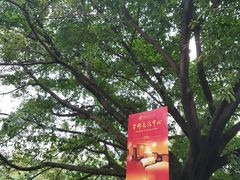 -西南交通大学(九里校区)