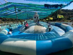 -阿菠萝小猪农场·萌宠乐园·亲子游·研学