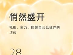 -欧亚汇集(飞跃路店)