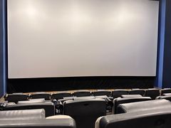 -汉阳天河电影城(王家湾店)