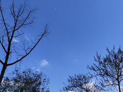-成都杜甫草堂博物馆